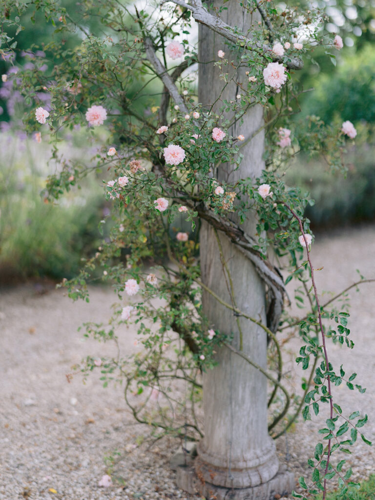 Euridge Manor Wedding Photographer couple portraits roses