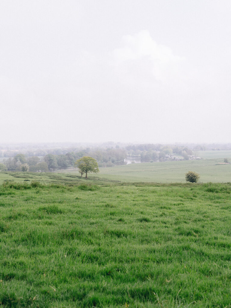 Lush green field